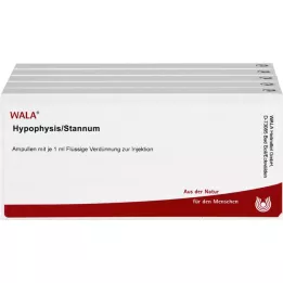 HYPOPHYSIS/STANNUM ampules, 50x1 ml
