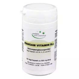 PANGAM Vitamin B15 kapsle, 60 ks
