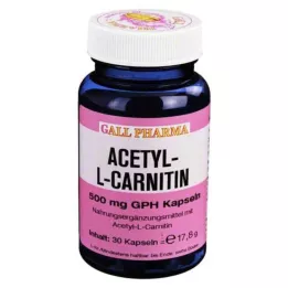 ACETYL-L-CARNITIN 500 mg kapsle, 30 ks