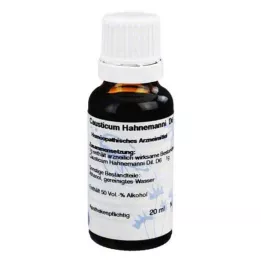 CAUSTICUM HAHNEMANNI D 6 Ředění, 20 ml