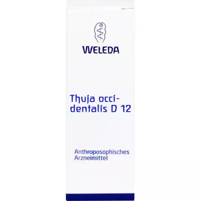 Thuja Occidentalis D12, 20 ml