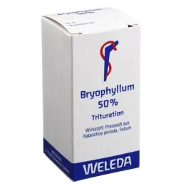 BRYOPHYLLUM 50% prášek pro perorální podání, 20 g
