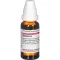 BAPTISIA D 4, 20 ml