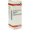 Dulcamara URT, 20 ml
