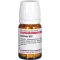 BERBERIS d 10 tablet, 80 ks