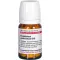 Eupatorium perf d10, 80 ks