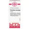 PHOSPHORUS AMORPHUS d 8 tablety, 80 ks