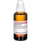 COLOCYNTHIS D 6 Ředění, 50 ml