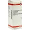 HAMAMELIS D2 Ředění, 50 ml