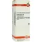 HYPERICUM D 6 Ředění, 50 ml