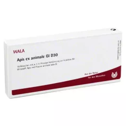 APIS EX animale GL D 30 ampule, 10X1 ml