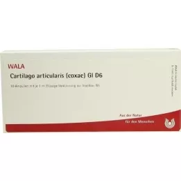CARTILAGO artikularis coxae GL d 6 ampule, 10x1 ml