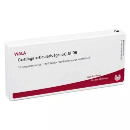 CARTILAGO articularis rod GL D 6 ampulí, 10X1 ml