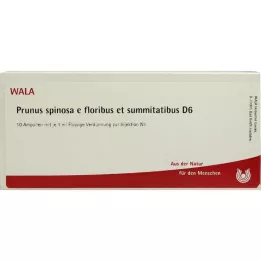 PRUNUS SPINOSA E floribus et summitatibus D 6 Amp., 10X1 ml