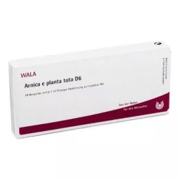 ARNICA E Planta tota D 6 ampulí, 10X1 ml