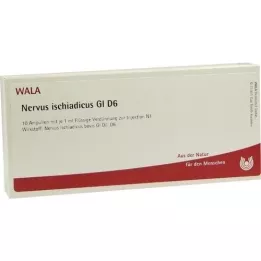 NERVUS ISCHIADICUS GL D 6 ampule, 10X1 ml