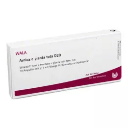 ARNICA E Planta tota D 20 ampulí, 10X1 ml