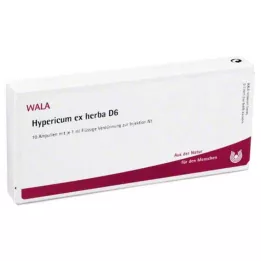 HYPERICUM EX Herba D 6 ampulí, 10X1 ml