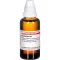 EUPHORBIUM D 4 Ředění, 50 ml