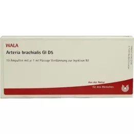 ARTERIA BRACHIALIS GL D 5 ampule, 10x1 ml