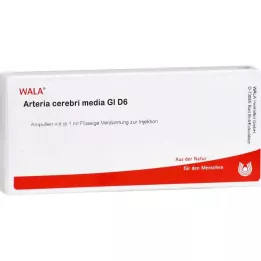 ARTERIA CEREBRI médium GL D 6 ampulí, 10X1 ml