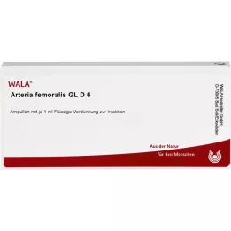 ARTERIA FEMORALIS GL D 6 ampule, 10x1 ml