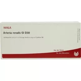 ARTERIA RENALIS GL D 30 ampule, 10x1 ml