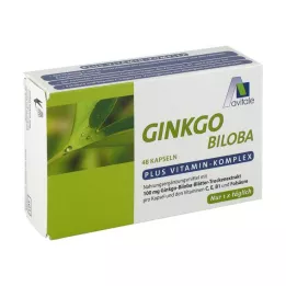 GINKGO 100 mg kapsle+B1+C+E, 48 ks