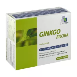 GINKGO 100 mg kapsle+B1+C+E, 192 ks