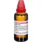 RUTA EXTERN extrakt, 50 ml