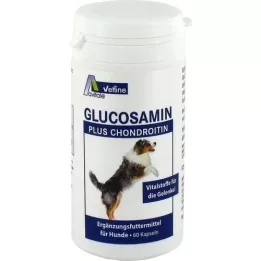 GLUCOSAMIN+CHONDROITIN tobolky pro psy, 60 ks