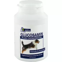 GLUCOSAMIN+CHONDROITIN tobolky pro psy, 120 ks