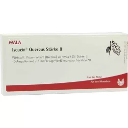 ISCUCIN quercus Strength B ampule, 10X1 ml