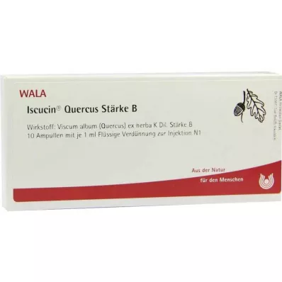 ISCUCIN quercus Strength B ampule, 10X1 ml