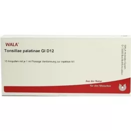 TONSILLAE Palatinae GL D 12 Ampules, 10x1 ml