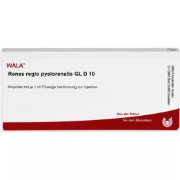 RENES REGIO pyelorenalis GL D 10 ampulí, 10X1 ml
