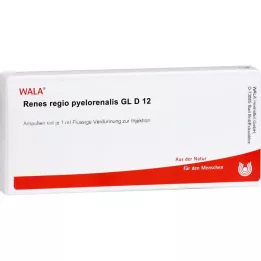 RENES REGIO Pyelorenalis GL d 12 ampule, 10x1 ml
