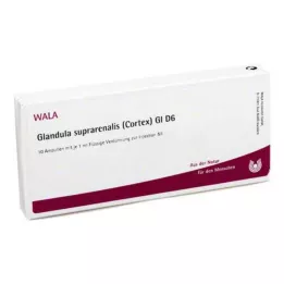 GLANDULA SUPRARENALES kůra GL D 6 ampulí, 10X1 ml