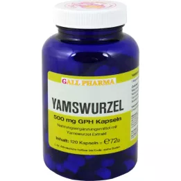 YAMSWURZEL 500 mg GPH kapsle, 120 ks