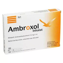 AMBROXOL Inhalační roztok do rozprašovače, 20X2 ml