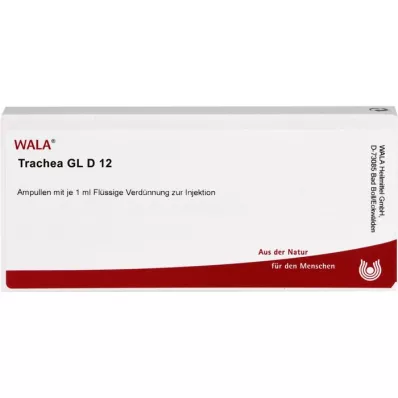 TRACHEA GL D 12 ampulí, 10X1 ml