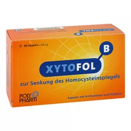 XYTO Kapsle Fol B, 90 ks