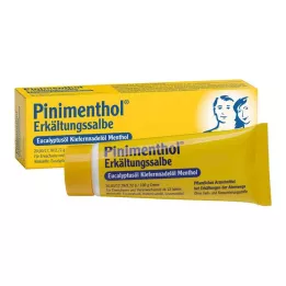 PINIMENTHOL Studená mast Eucal./Pine./Ment., 20 g