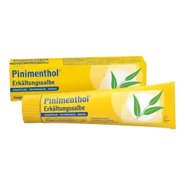PINIMENTHOL Studená mast Eucal./Pine./Ment., 100 g