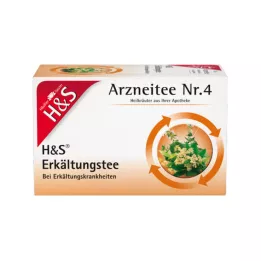 H&S Cold Tea V Filtrační sáčky, 20X2,0g