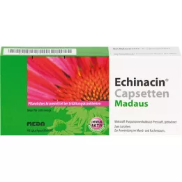 Echinacin Capsetten Lolliparten, 40 ks