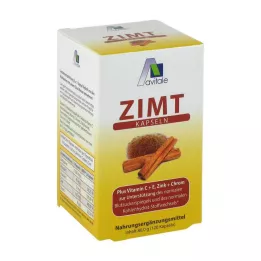 ZIMT KAPSELN 500 mg+vitamín C+E, 120 ks