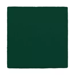 MULLKOMPRESSEN 10x10 cm 12x zelená, 100 ks