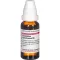 CEANOTHUS AMERICANUS D3 ředění, 20 ml
