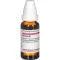 CROCUS D 6 Ředění, 20 ml